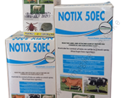 notix png (1)