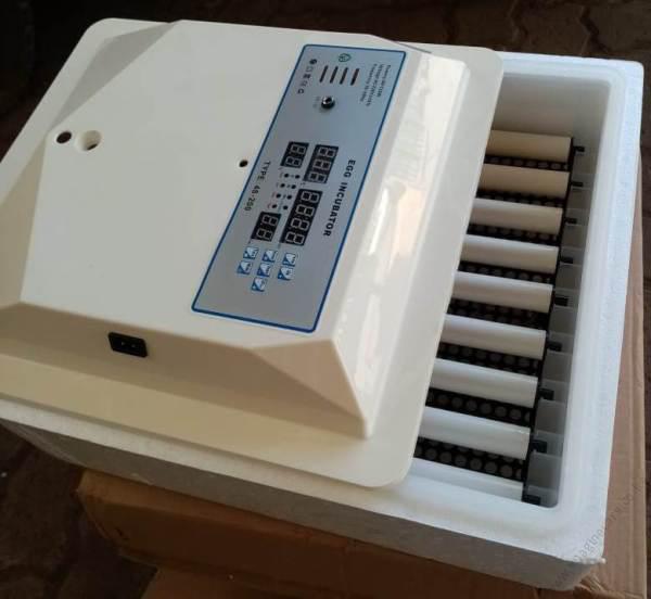 Incubator-for-64-Eggs-ACDC_Tools_22143_1