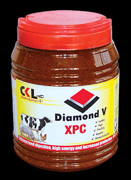 ckl-Diamond-V-XPC