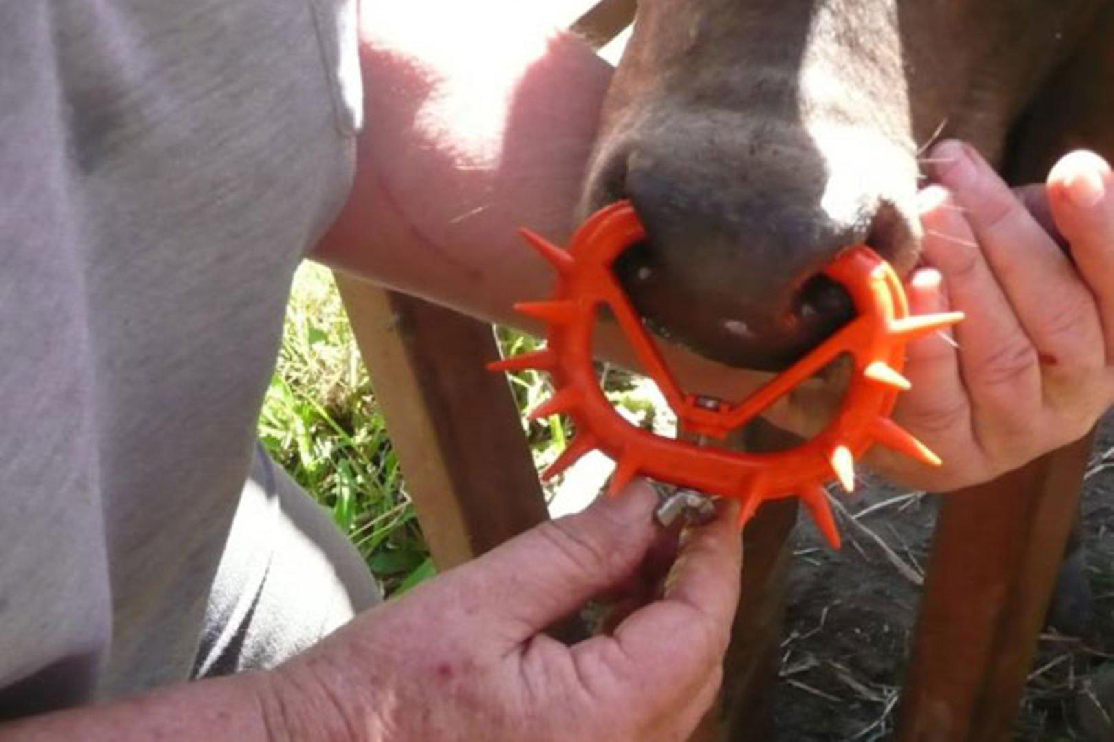 farm04pix