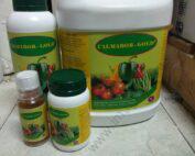 Calmabor Gold
