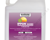 Ippon