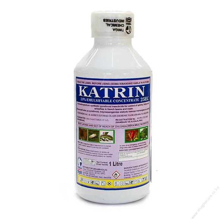 Katrin-1