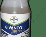 Sivanto_energy_6696505e34 (1)