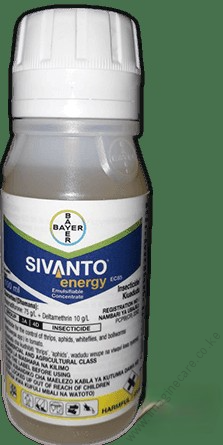 Sivanto_energy_6696505e34 (1)