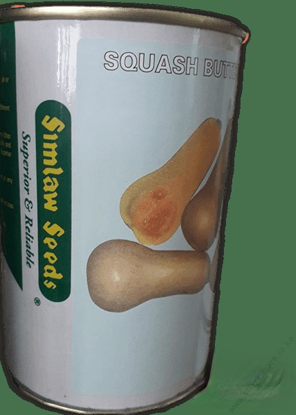 Squash_Butternut_eddb24d9ee (2)