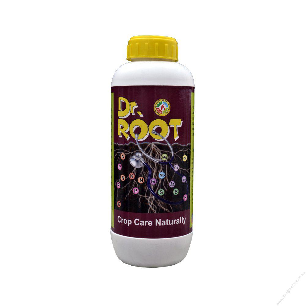 dr-root