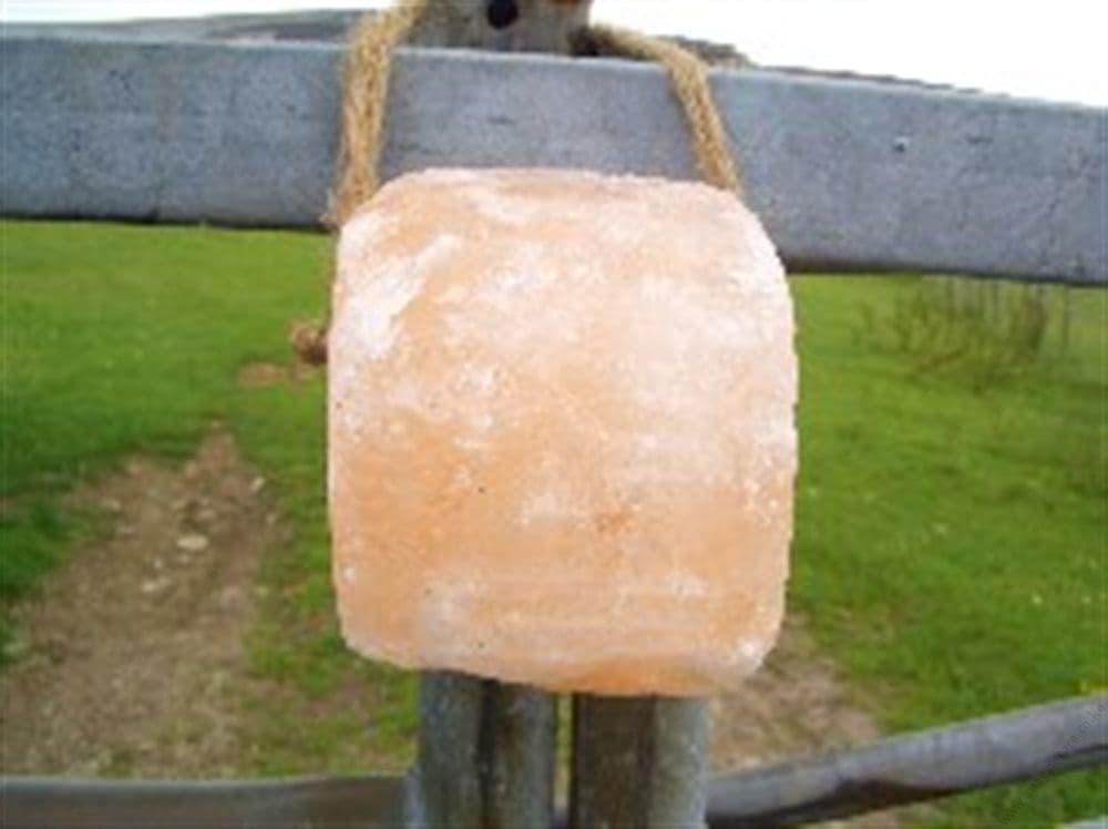 himalayan-salt-licks-1kg-1.5kgs-204-p