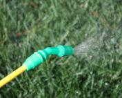 newsImage-44-1473986603-effectiveweedcontrolusingherbicides