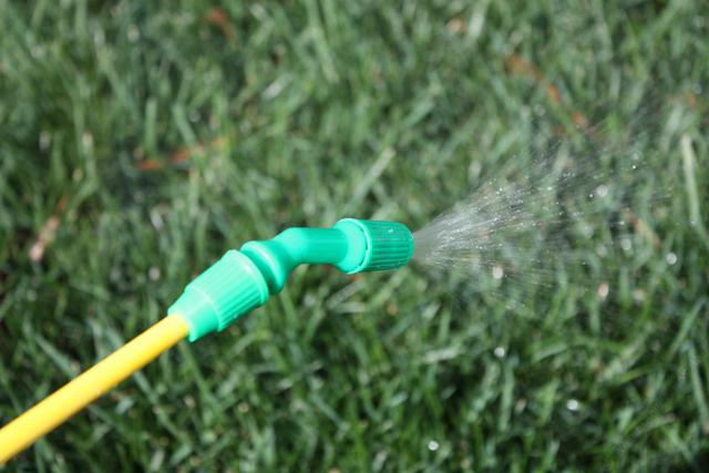 newsImage-44-1473986603-effectiveweedcontrolusingherbicides
