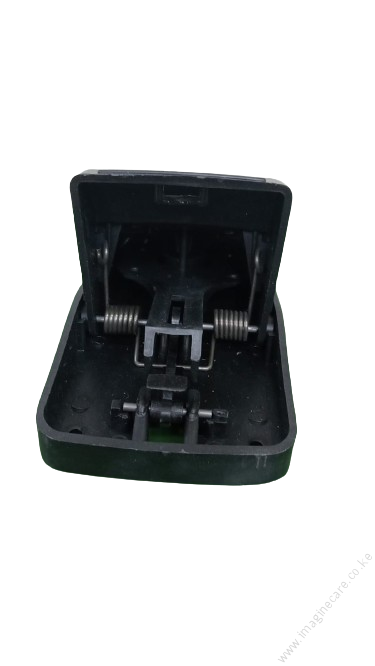 3. Senior Mousetrap