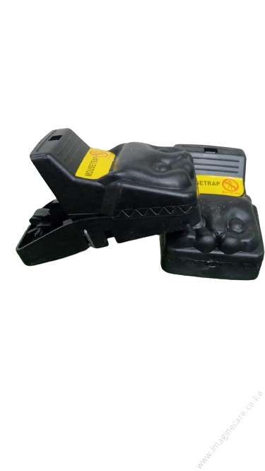 5. Senior Mousetrap