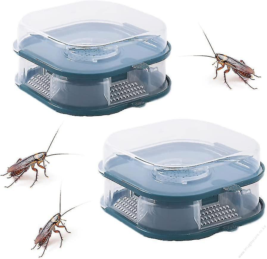 Cockroach Trap Box
