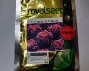 Lettuce Claragio Hybrid 100 seeds