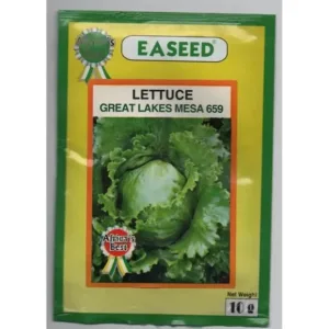 Lettuce Great Lakes Mesa Seeds 10gm