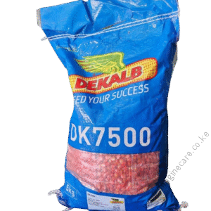 DK 7500 Hybrid Yellow Maize 5Kg