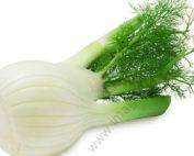 fennel 10g