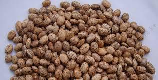 Beans Mwitemania (GLP 92 2kg