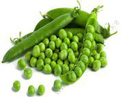 Peas Kelvedon Kigondoro 1Kg
