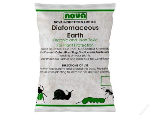 Organic Diatomaceous Earth for bed bugs, ants, slugs, caterpillars, snails, worms, beetles, cockroaches, ticks, lice, fleas, mites, and spiders