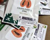 Calina IPB9 Papaya seeds 1g