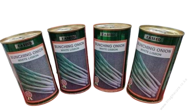 Bunching onion 10g
