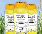 Nomax 150 SC - 1L
