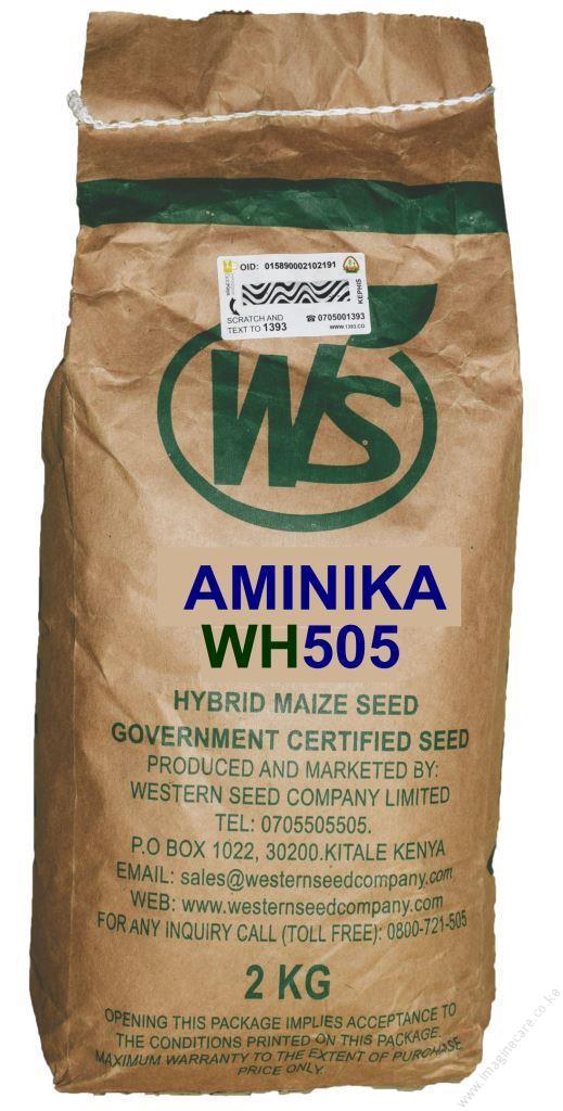 Aminika wh 505 Maize Seeds 2kg