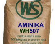 Aminika WH 507 Maize Seeds 2kg