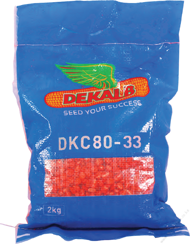 DCK80-83 Maize Seeds 2 Kg