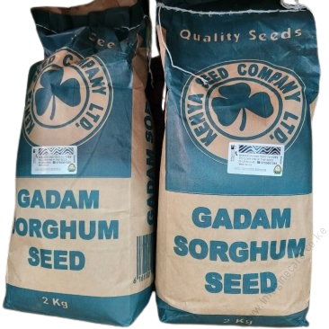 Gadam Sorghum Seeds- 2Kg