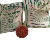 Kalro SB19 Soya Beans Seeds 25kg