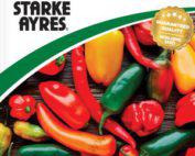 Starke Ayres Chilli Hot Chilli Mix Seeds