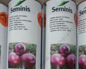 Sv 7030 Onion Seeds 500g