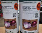 Red Hallen Onion Seeds 250g