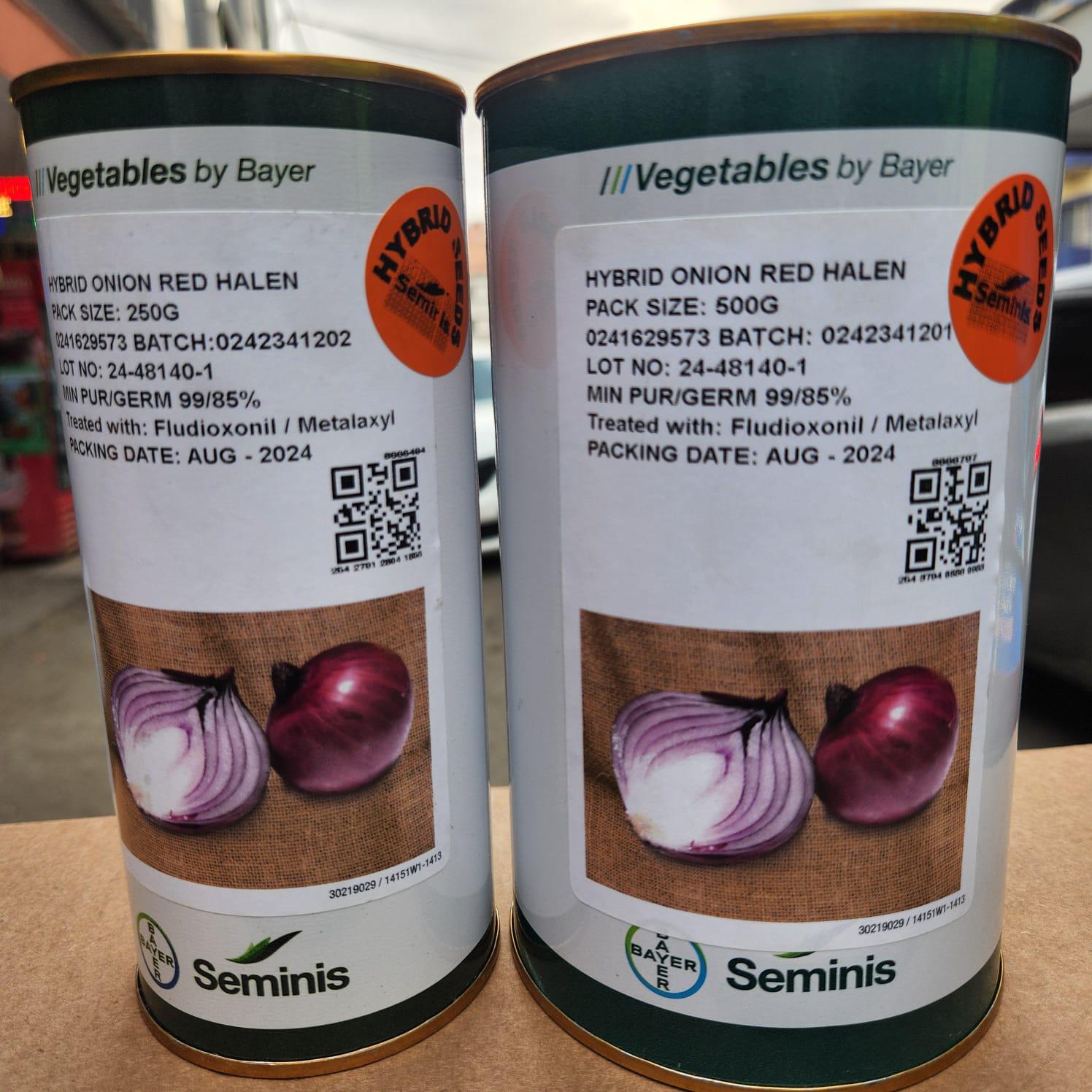 Red Hallen Onion Seeds 250g