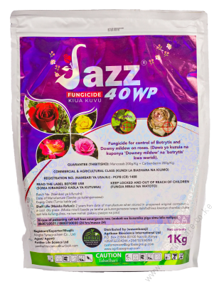 Jazz 40wp 40g