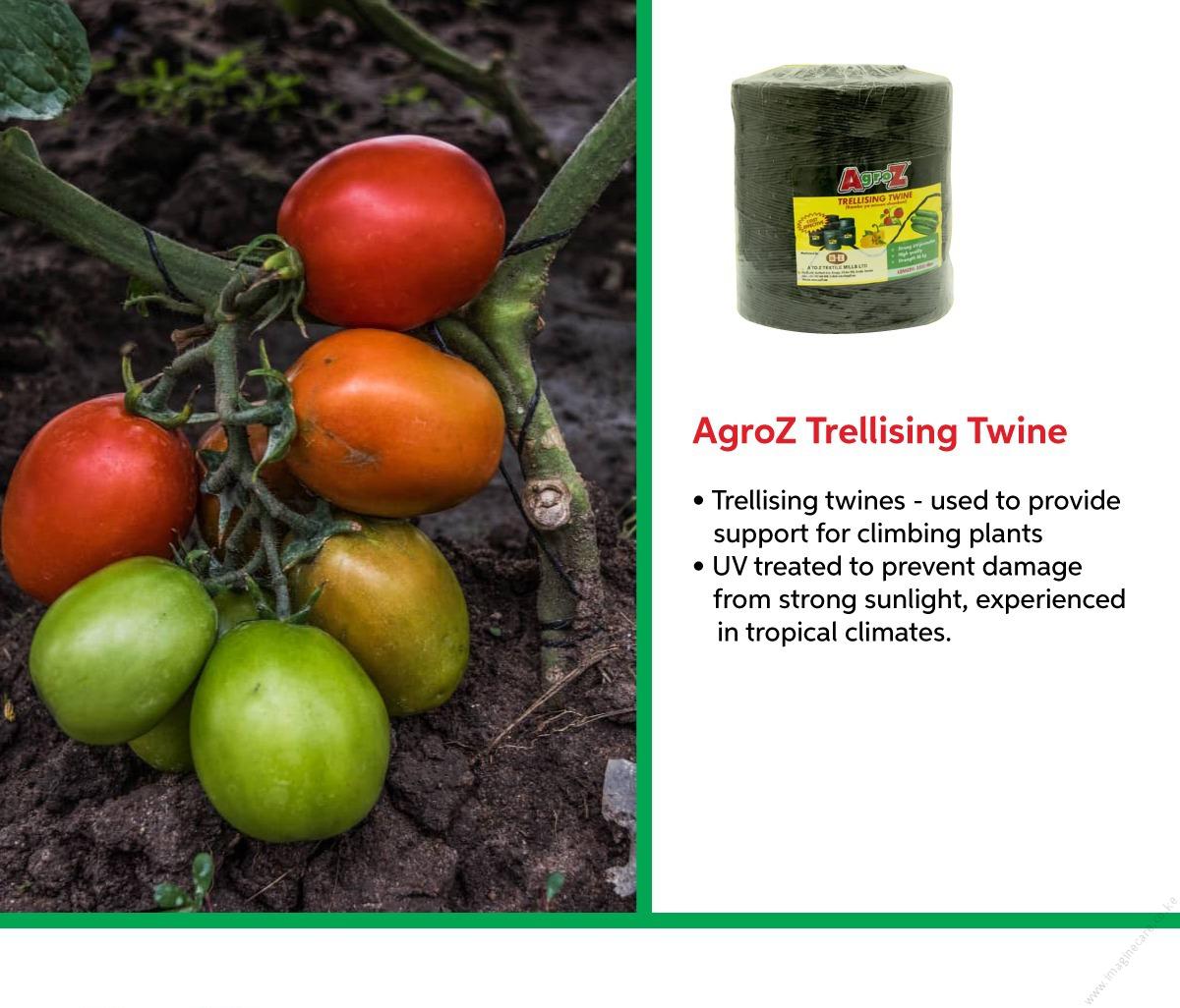 AgroZ Trellising Twine 5,000M - Image 2