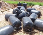 Silage Bags Gauge 1200 (30kg Roll)