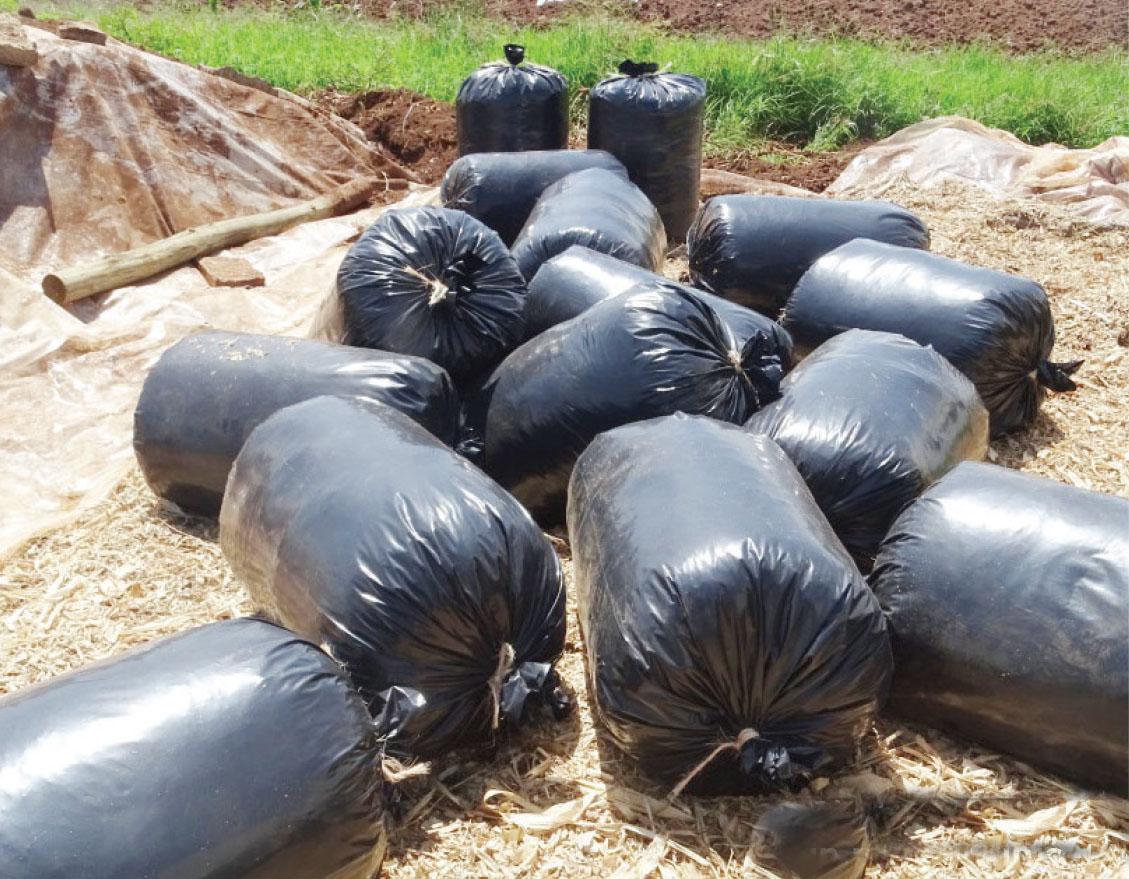 Silage Bags Gauge 1200 (30kg Roll)