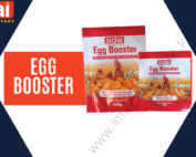 sidai Egg Booster 30g
