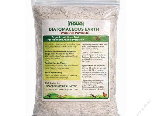 Use Diatomaceous Earth to eliminate crawling insects such as bed bugs, ants, slugs, caterpillars, snails, worms, beetles, cockroaches, ticks, lice, fleas, mites, and spiders around your home.