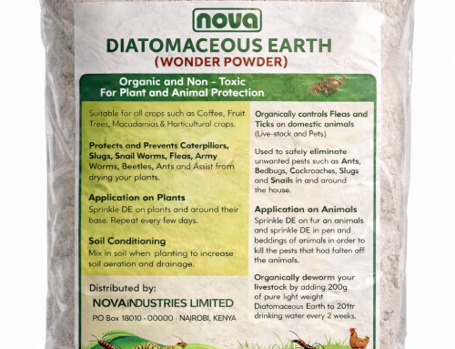 Using Organic Diatomaceous Earth against bed bugs, ants, slugs, caterpillars, snails, fleas in Kiambu