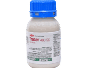 Tracer 480 SC 30ML