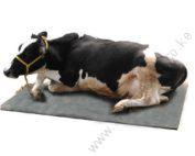 Cow Mattress