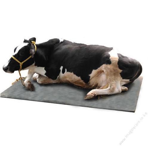 Cow Mattress