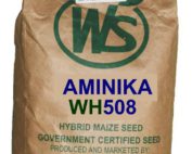 Aminika WH 508 Maize Seeds