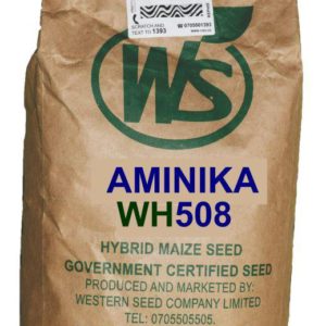 Aminika WH 508 Maize Seeds
