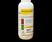 Golden leaf 1l