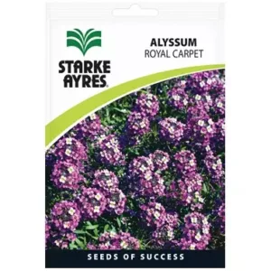 Alyssum Royal Carpet Flower Seeds